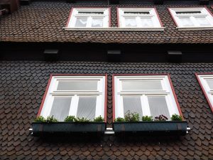 shingles