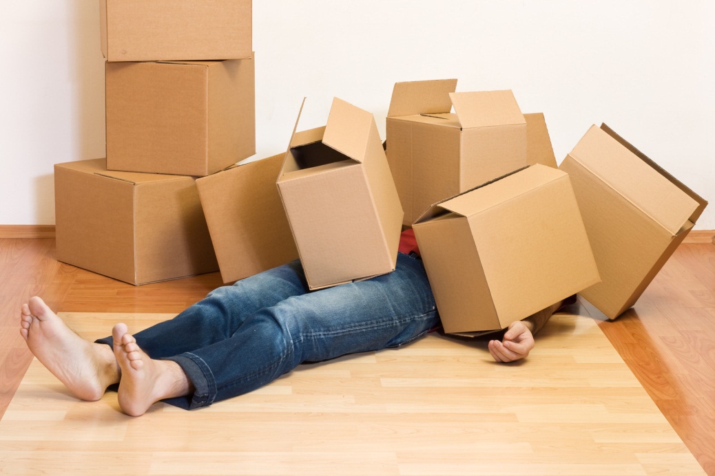 moving services
